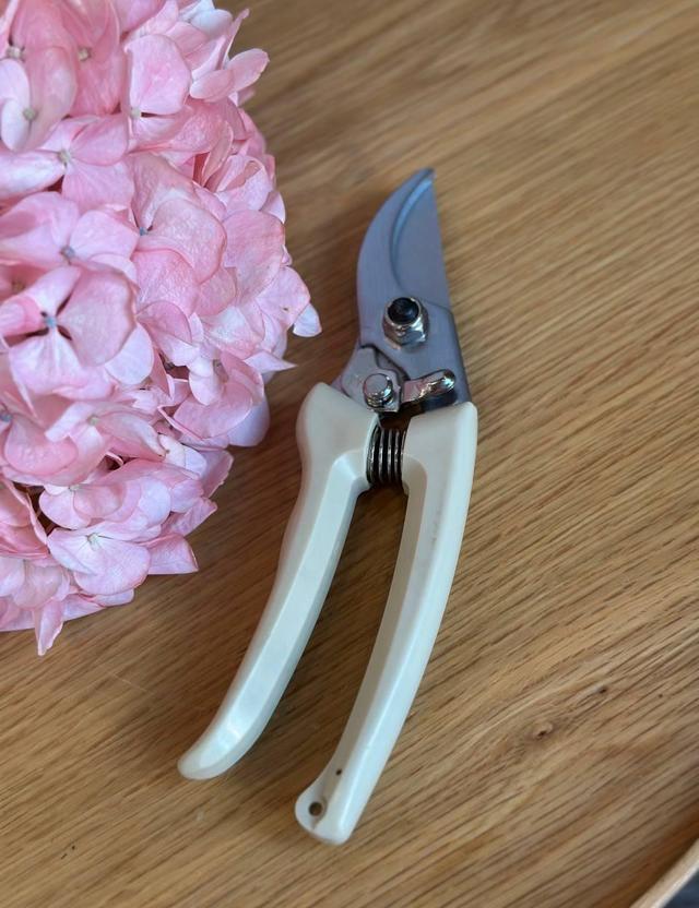 Секатор